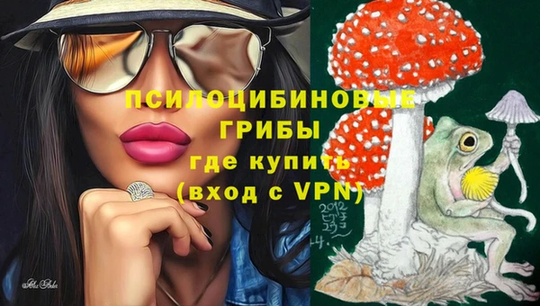 гидропоника Алзамай