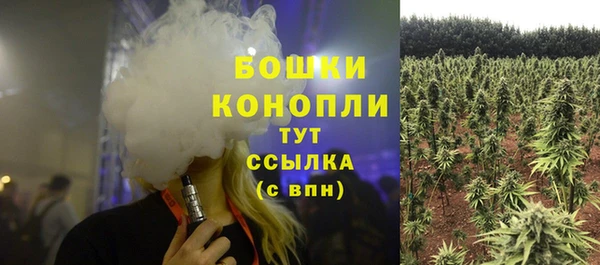 гидропоника Алзамай