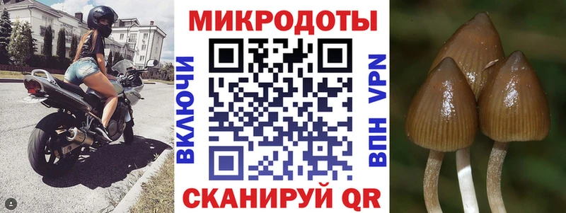 Псилоцибиновые грибы ЛСД  даркнет сайт  Магнитогорск 